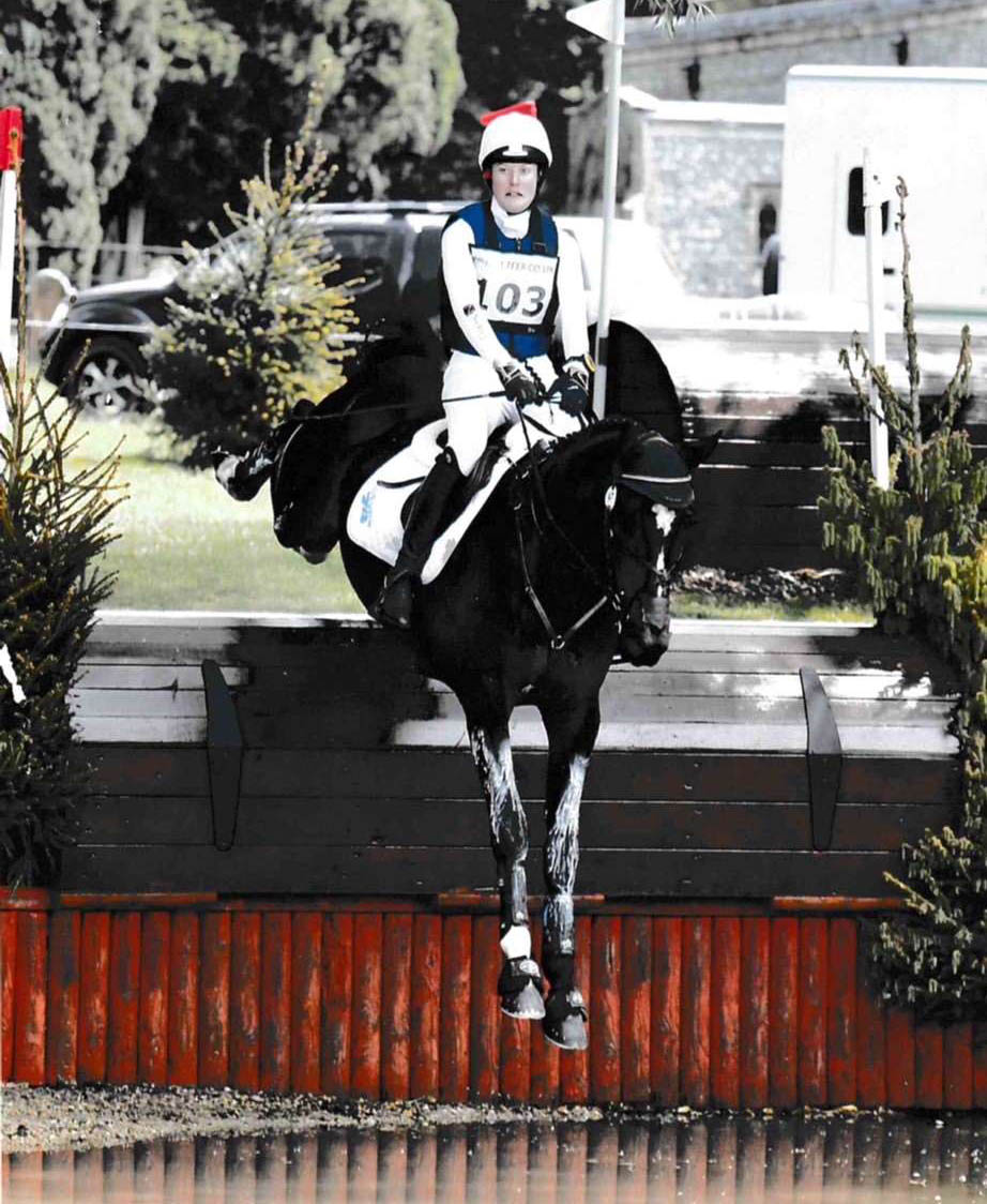 Champions Dynamo - Eventing Stallion